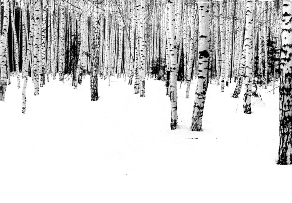 , 1970 .  .